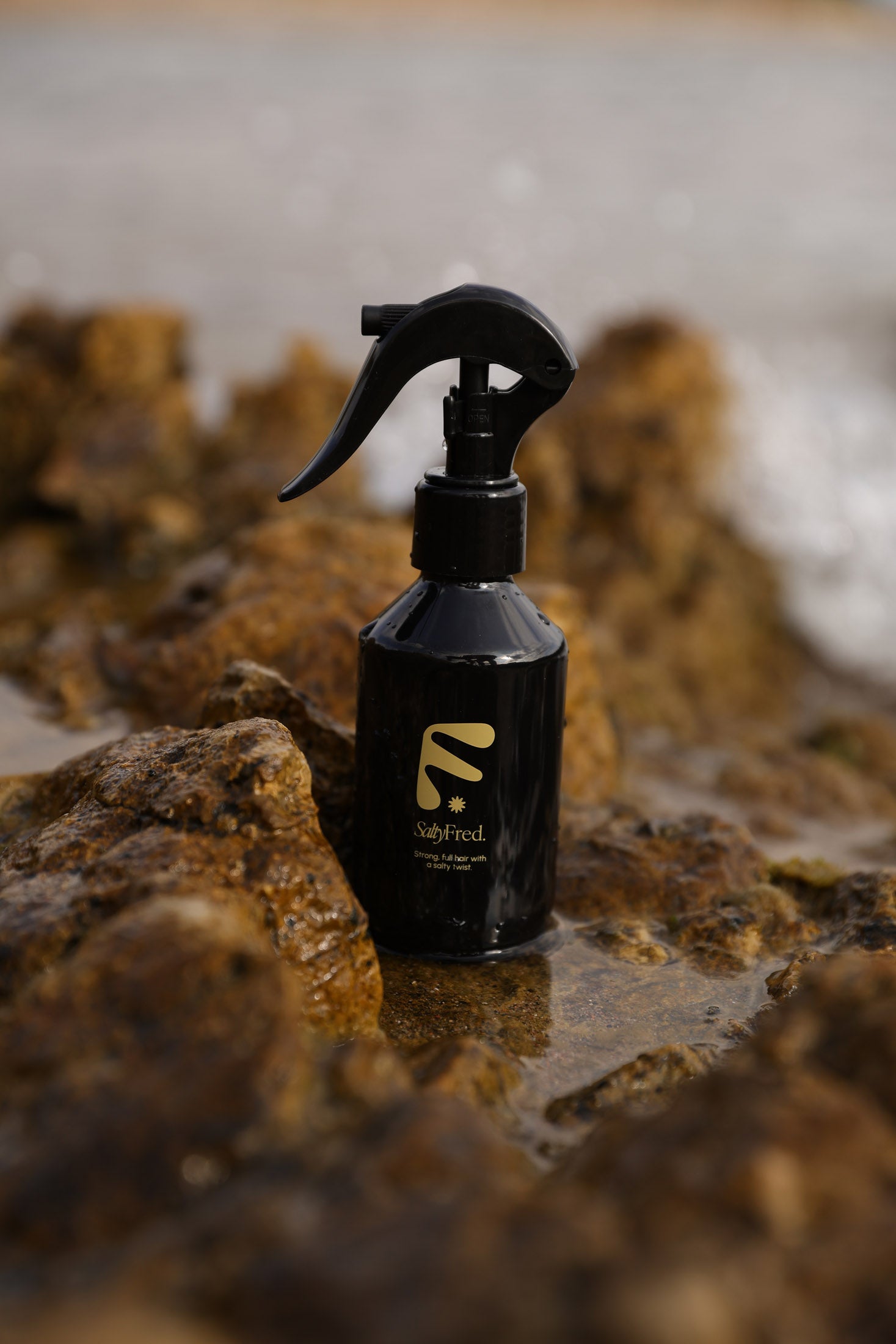 Salty FRED Sea Salt Spray - FRED