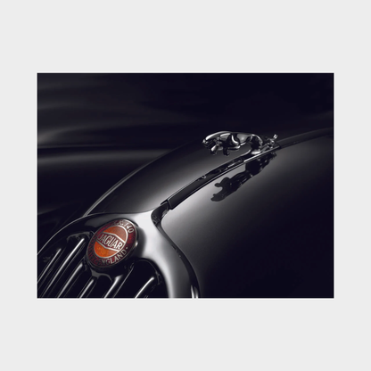 Koffietafelboek The Jaguar Book van René Staud & Jürgen Lewandowski