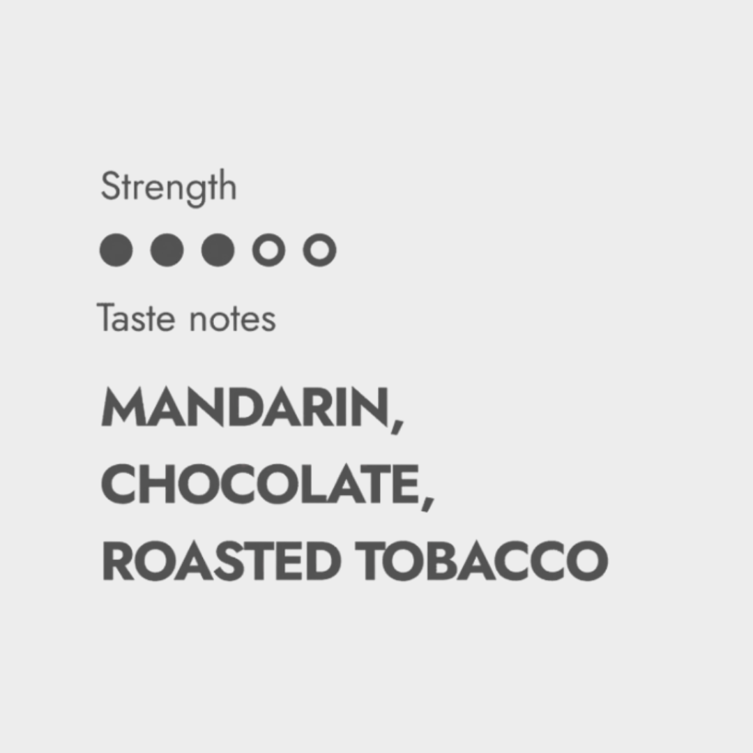 Speciality Coffee Beans Nicaragua - The Brew Company