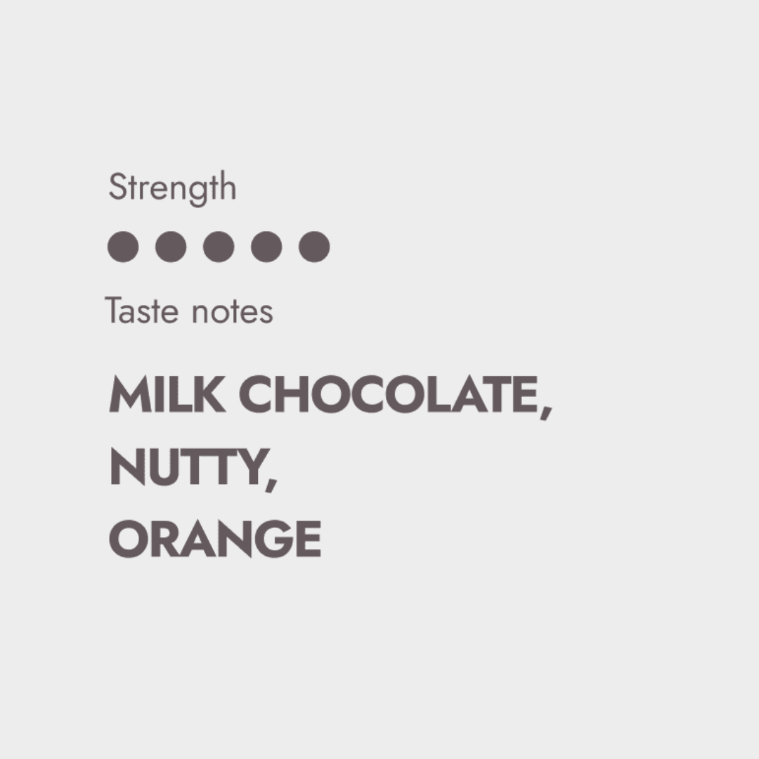 Speciality Coffee Beans Brazil - The Brew Company