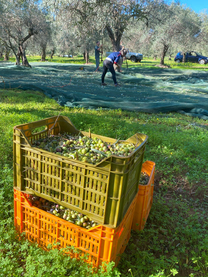 Olijfolie shots 8 stuks - Olivious